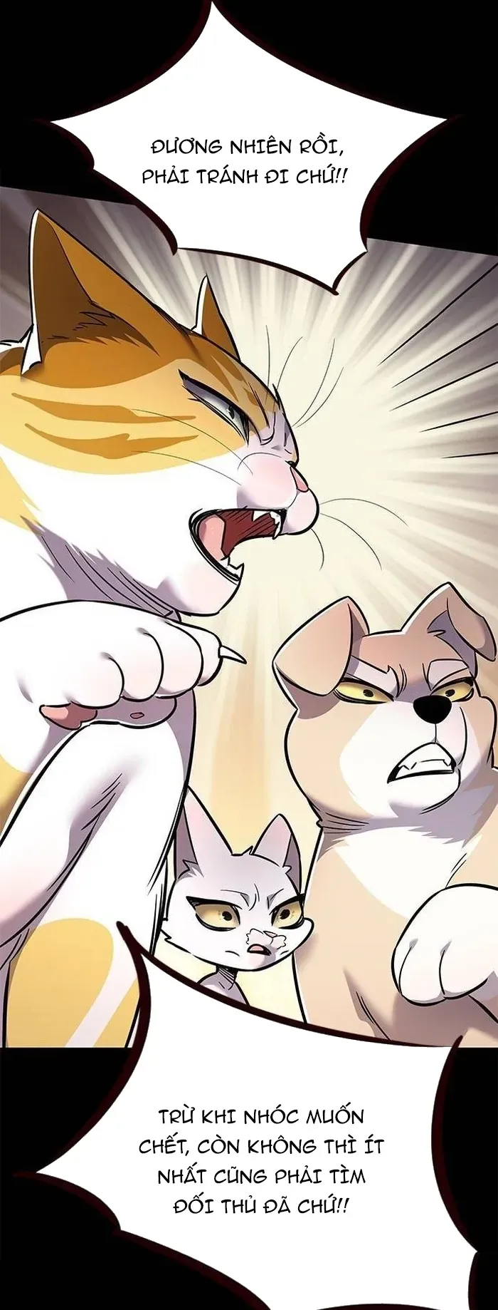 Hoá Thân Thành Mèo Chap 377 - Next Chap 378