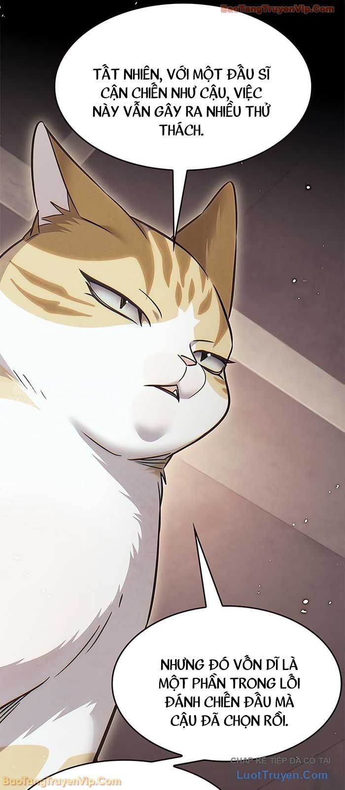 Hoá Thân Thành Mèo Chap 380 - Next Chap 381