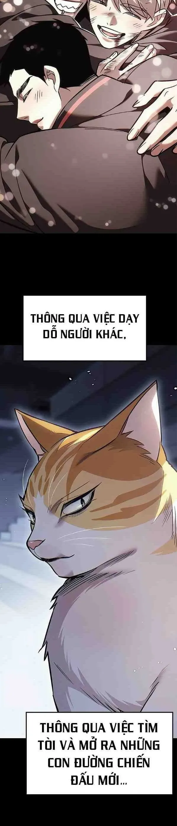 Hoá Thân Thành Mèo Chap 385 - Next Chap 386