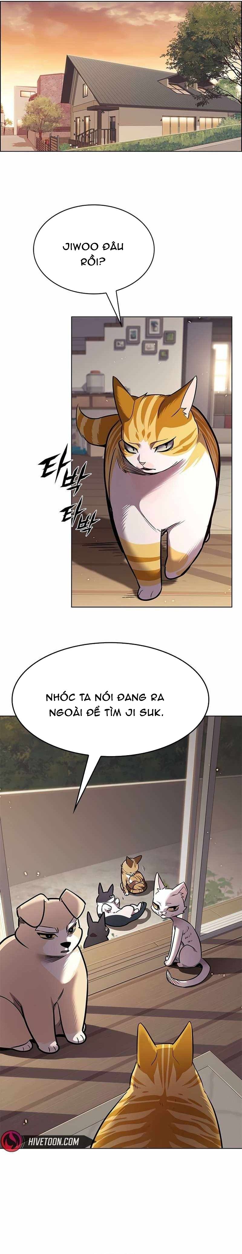 Hoá Thân Thành Mèo Chap 391 - Next Chap 392
