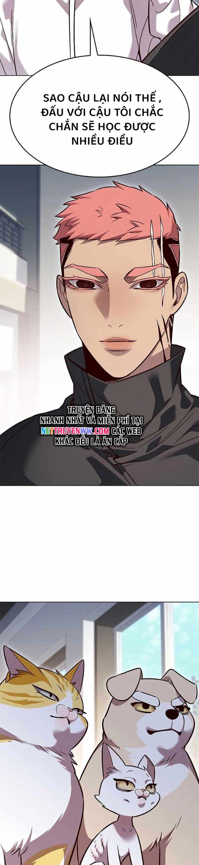 Hoá Thân Thành Mèo Chap 324 - Next Chap 325