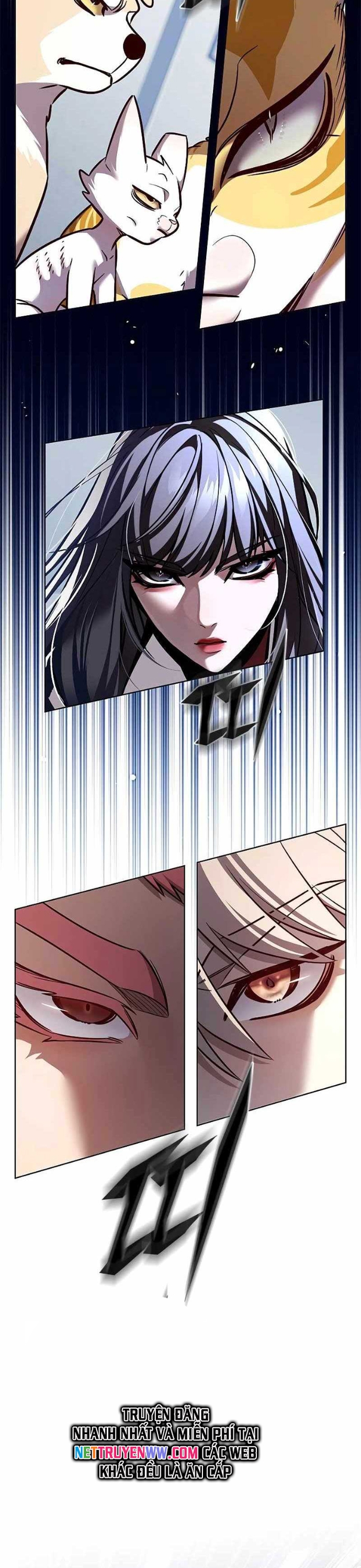 Hoá Thân Thành Mèo Chap 324 - Next Chap 325