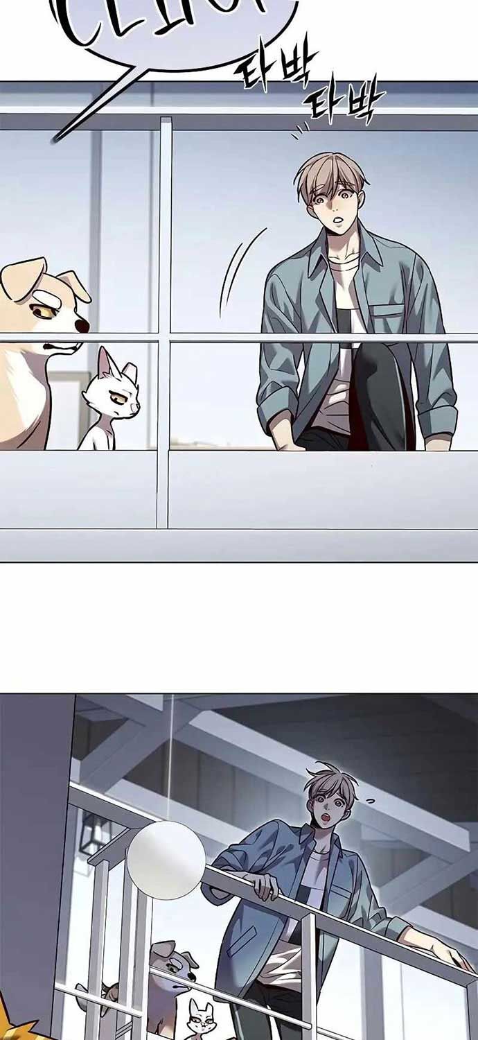 Hoá Thân Thành Mèo Chap 323 - Next Chap 324