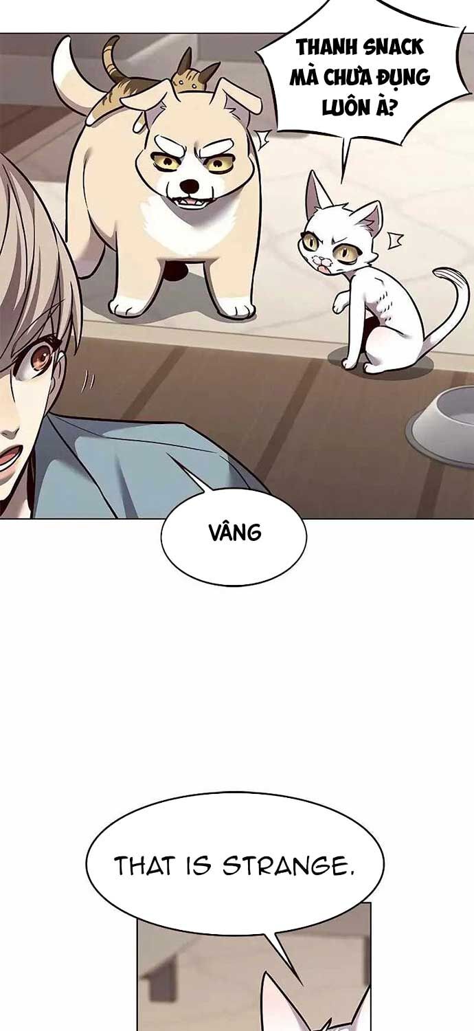 Hoá Thân Thành Mèo Chap 323 - Next Chap 324