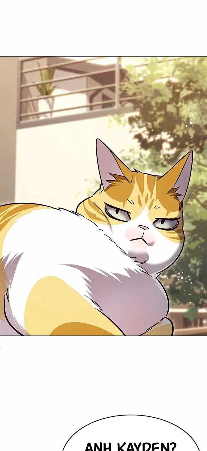 Hoá Thân Thành Mèo Chap 323 - Next Chap 324