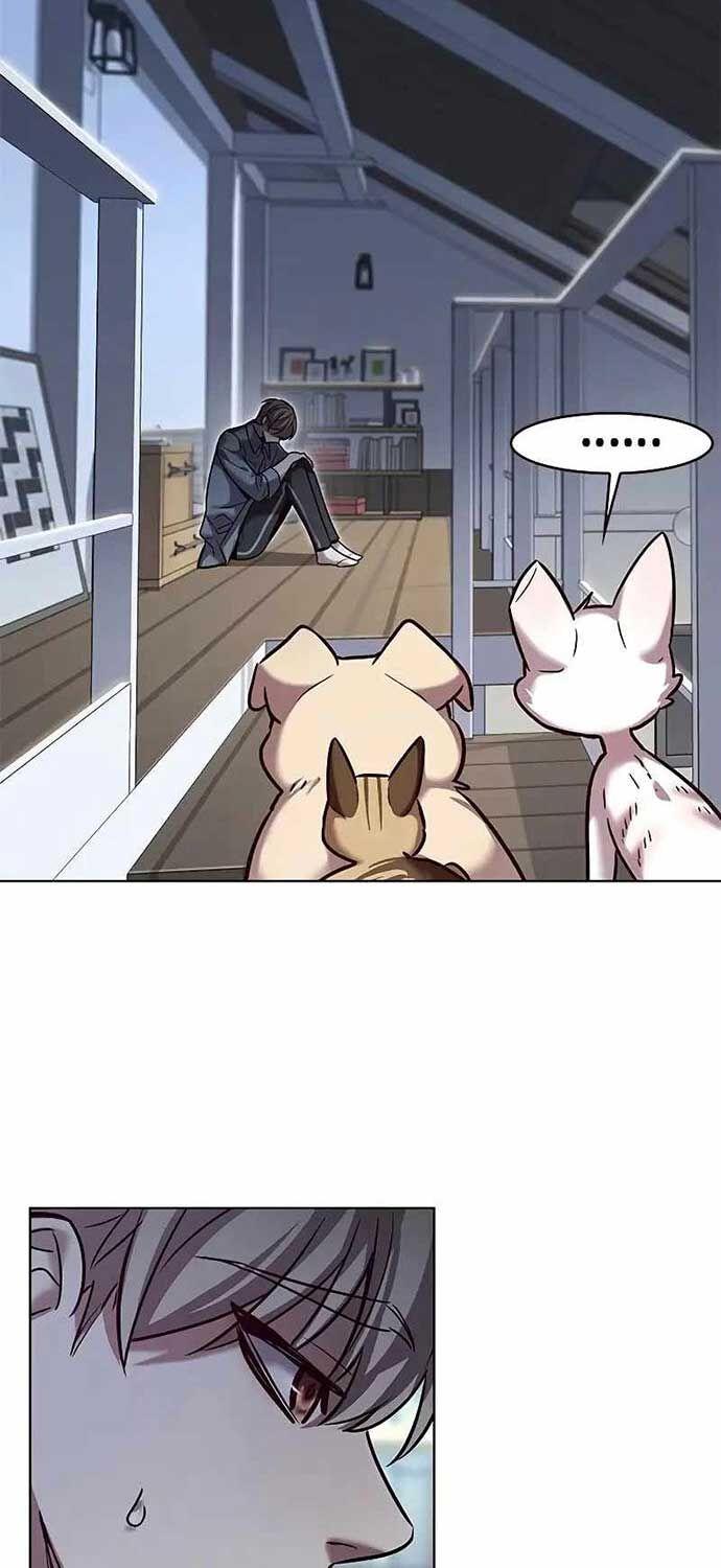 Hoá Thân Thành Mèo Chap 323 - Next Chap 324