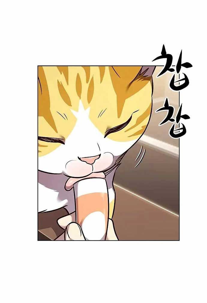 Hoá Thân Thành Mèo Chap 323 - Next Chap 324