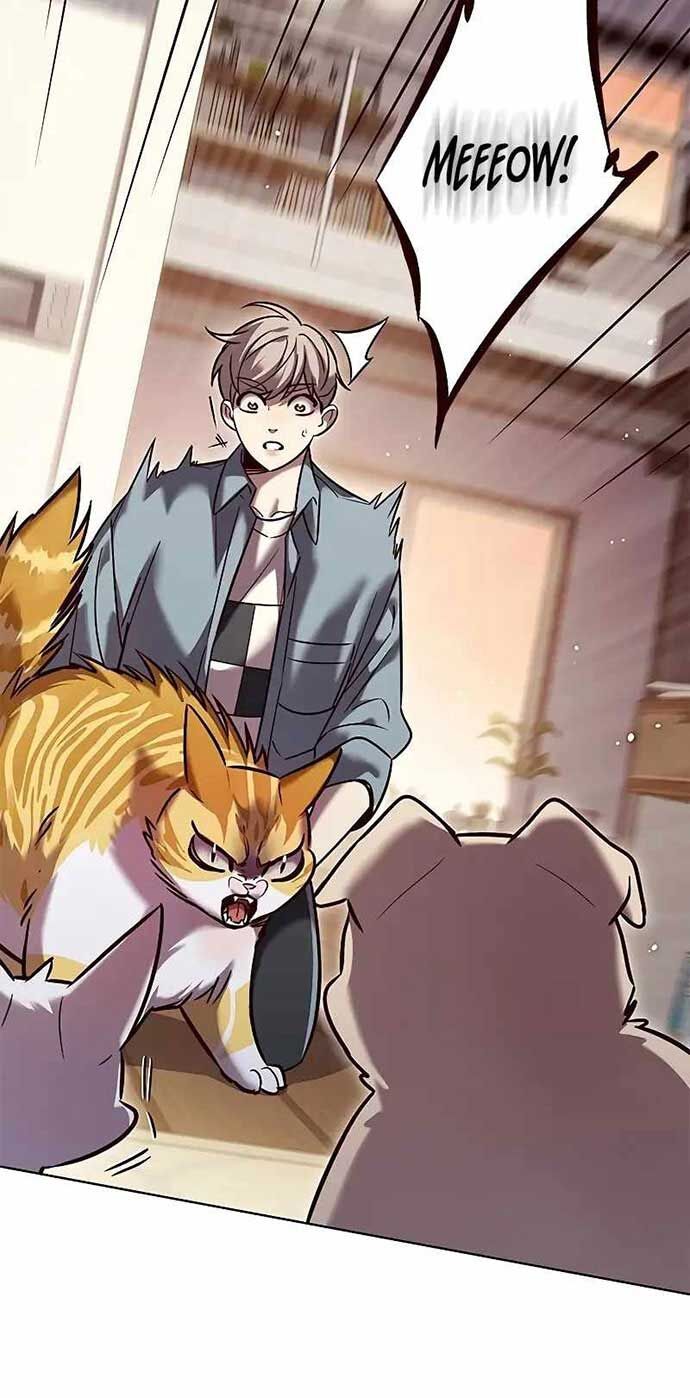 Hoá Thân Thành Mèo Chap 323 - Next Chap 324