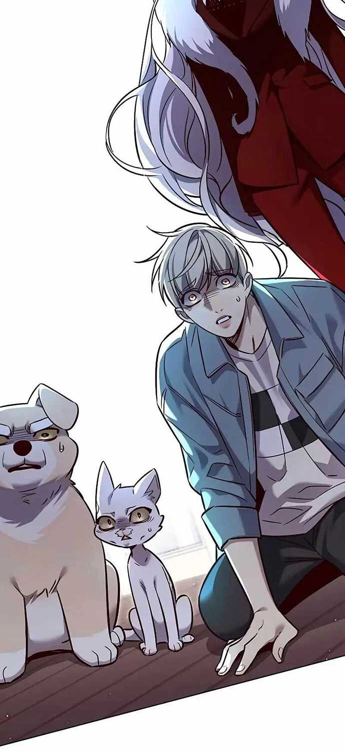 Hoá Thân Thành Mèo Chap 323 - Next Chap 324