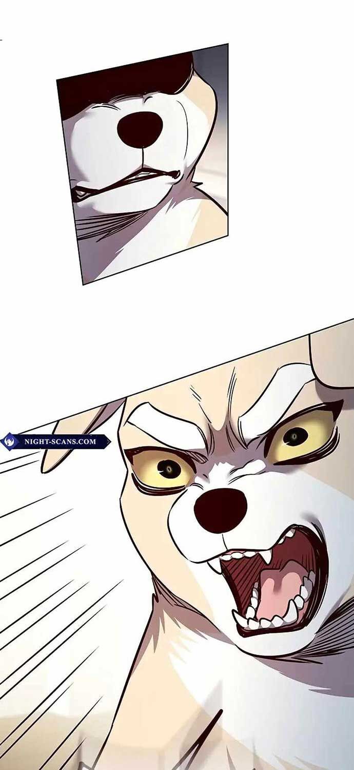 Hoá Thân Thành Mèo Chap 323 - Next Chap 324