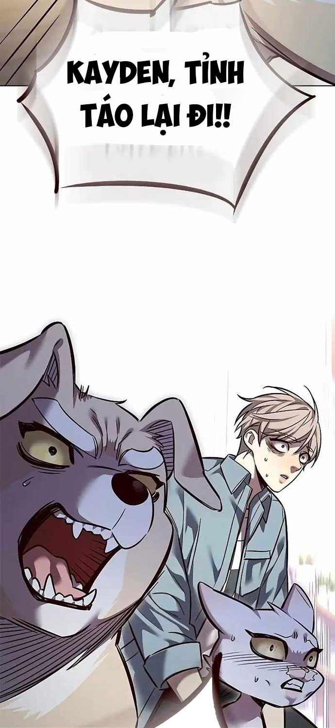 Hoá Thân Thành Mèo Chap 323 - Next Chap 324