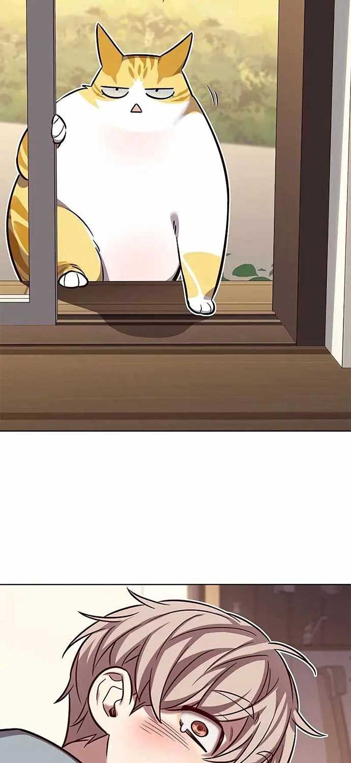 Hoá Thân Thành Mèo Chap 323 - Next Chap 324