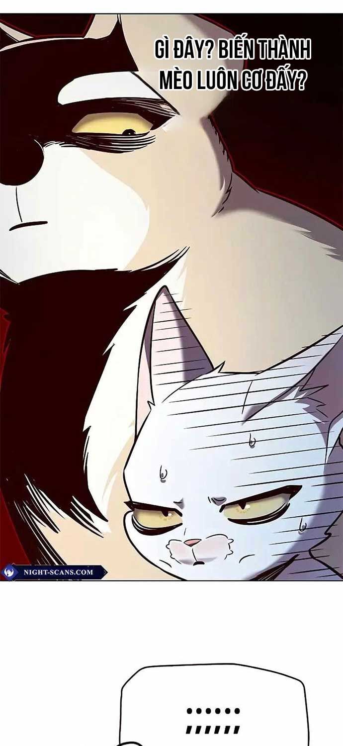 Hoá Thân Thành Mèo Chap 323 - Next Chap 324