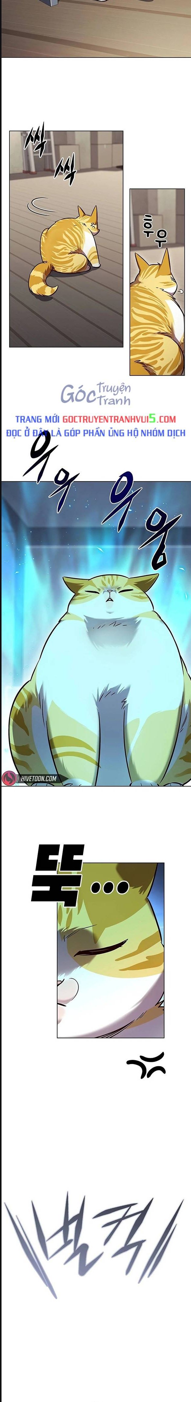 Hoá Thân Thành Mèo Chap 322 - Next Chap 323