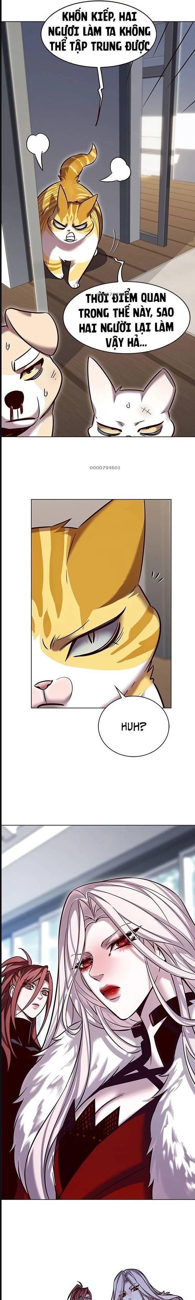 Hoá Thân Thành Mèo Chap 322 - Next Chap 323